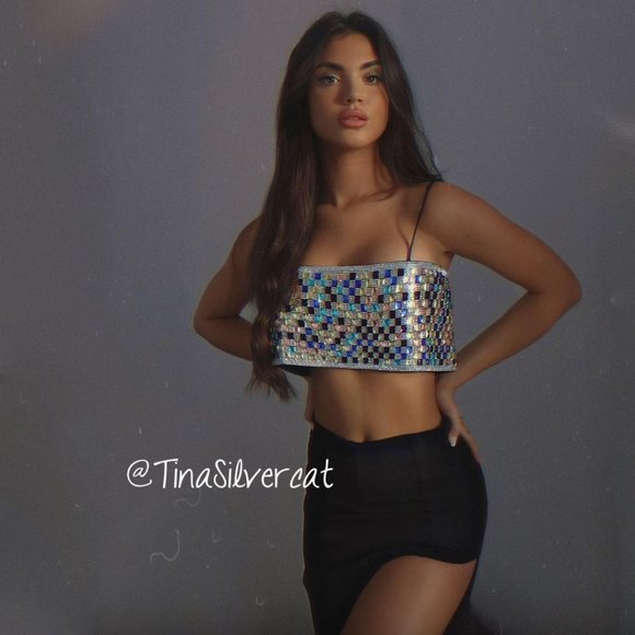 BLOGGER'S FAVE! Zara Shimmery Crop Top NWT - Picture 7 of 17